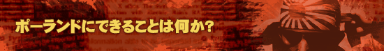 ポーランドにできることは何か?
