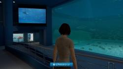 画像ギャラリー No.016のサムネイル画像 / 沖縄美ら海水族館「黒潮の海」がPS Home内でバーチャル再現