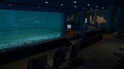 画像ギャラリー No.019のサムネイル画像 / 沖縄美ら海水族館「黒潮の海」がPS Home内でバーチャル再現