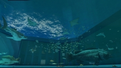 画像ギャラリー No.020のサムネイル画像 / 沖縄美ら海水族館「黒潮の海」がPS Home内でバーチャル再現
