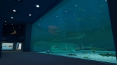 画像ギャラリー No.026のサムネイル画像 / 沖縄美ら海水族館「黒潮の海」がPS Home内でバーチャル再現