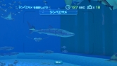画像ギャラリー No.031のサムネイル画像 / 沖縄美ら海水族館「黒潮の海」がPS Home内でバーチャル再現