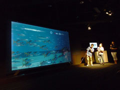 画像ギャラリー No.002のサムネイル画像 / 銀座で沖縄美ら海水族館を体感。スペシャルイベント「VR 黒潮の海で泳ごう！」レポート