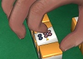 麻雀ゲームに物理エンジン？　こだわり抜いたリアル志向のオンライン麻雀「雀龍門」が目指すもの