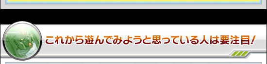 これから遊んでみようと思っている人は要注目!