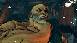 画像ギャラリー No.023のサムネイル画像 / PS3/Xbox 360版「ストリートファイターIV」では“剛拳”が使用可能に