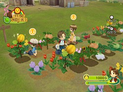 画像ギャラリー No.006のサムネイル画像 / Wii「牧場物語 わくわくアニマルマーチ」，公式サイトで発売記念壁紙を配信中