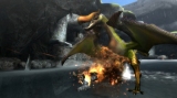 画像ギャラリー No.019のサムネイル画像 / ［TGS 2008＃004］オフラインで友達と同時プレイも可能！「モンスターハンター3（トライ）」イベント速報をお届け