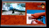 画像ギャラリー No.003のサムネイル画像 / ［TGS 2008＃029］「モンスターハンター3（トライ）」プレイレポート（ムービー付き）：Wiiリモコンでの操作感と新モンスター，そしてプレイフィールについて
