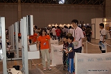 画像ギャラリー No.066のサムネイル画像 / 「モンスターハンターフェスタ’09」東京大会レポートその2：開発陣の“ここだけの話”をはじめファンのための催し物が盛りだくさん