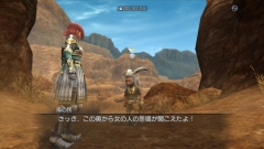 画像ギャラリー No.004のサムネイル画像 / 「白騎士物語」,追加クエスト「名画の条件」&新装備を配信