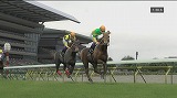 ダービータイム オンライン