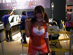 画像ギャラリー No.004のサムネイル画像 / ［TGS 2008＃059］テクモブースは，ブースガールだけが売りではありません