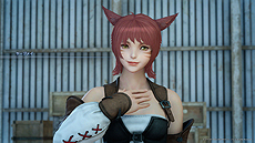 画像ギャラリー No.006のサムネイル画像 / 「FINAL FANTASY XV」の発売2周年記念企画が一挙公開。「FFXIV」コラボクエストの実装や，アニメイト店舗での限定ショップ開催など