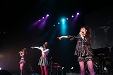画像ギャラリー No.008のサムネイル画像 / 豪華出演者達が多数登場した，5pb.のプレミアム感謝祭。4時間にも及んだ“Live 5pb.2008”の模様をレポート
