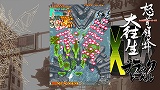 画像ギャラリー No.016のサムネイル画像 / 豪華出演者達が多数登場した，5pb.のプレミアム感謝祭。4時間にも及んだ“Live 5pb.2008”の模様をレポート