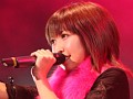 豪華出演者達が多数登場した，5pb.のプレミアム感謝祭。4時間にも及んだ“Live 5pb.2008”の模様をレポート