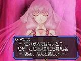 画像ギャラリー No.011のサムネイル画像 / 「シャイニング・フォース フェザー」，予約特典はスペシャルDVD
