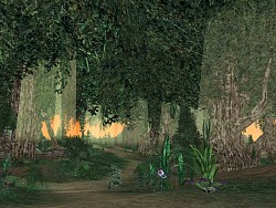 画像ギャラリー No.011のサムネイル画像 / プレイヤースキルがものをいう対戦重視MMORPG「セフィロス」本日よりクローズドβテスター募集開始,4Gamer枠は1000名