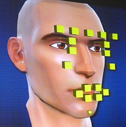 画像ギャラリー No.003のサムネイル画像 / ［GDC 2010］164年分の作業が1週間で片付いた!?「Star Wars：The Old Republic」，表情アニメーションの自動化で難題を解決