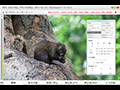 マイコンソフト，ビデオキャプチャソフト「VideoKeeper2」のCUDA対応を発表。NVIDIA製GPU搭載環境でエンコード時のCPU負荷を低減