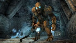 画像ギャラリー No.008のサムネイル画像 / X360版「TOMB RAIDER: UNDERWORLD」,完全日本語版DLC2本+無料コスチュームパックを6月11日より配信開始