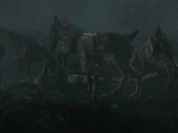 画像ギャラリー No.002のサムネイル画像 / Wii「biohazard」，公式サイトでケルベロス/クロウ/ワスプの動画公開