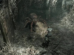 画像ギャラリー No.003のサムネイル画像 / Wii「biohazard」，公式サイトのクリーチャーズラボに新モンスター追加