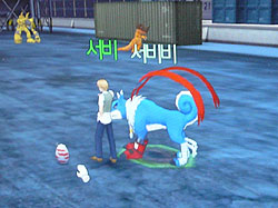 画像ギャラリー No.013のサムネイル画像 / ［G★2008＃09］デジモンセイバーズが韓国でMMORPGに。開発中との話だった「DIGIMON MASTERS」がSK TELECOMブースにプレイアブル出展 