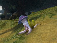 画像ギャラリー No.011のサムネイル画像 / 「ALLODS ONLINE」のオープンサービスが本日18：00にスタート。リーグとエンパイアが初めて交わる新マップ「ホーリーランド」の情報も公開