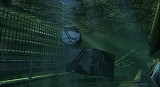 Hydrophobia Prophecy