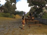 画像ギャラリー No.009のサムネイル画像 / ［G★2008＃42］「三国群英伝ONLINE」がフル3Dに進化！　UserJoy Technologyの「三国群英伝ONLINE 2」