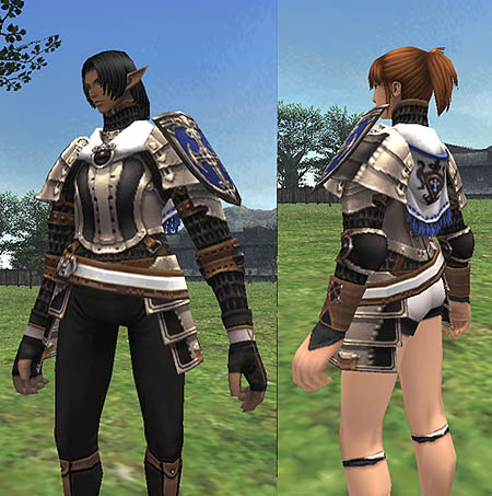 画像ギャラリー No.003のサムネイル画像 / 「FFXI」新シナリオ「石の見る夢 ヴァナ・ディール最終頌 魂の返歌」発売日を3月23日と発表! 特設サイトで情報を公開