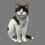 画像ギャラリー No.041のサムネイル画像 / 一撃必殺の忍者アクション！　PSP版「天誅 4」が2009年2月12日に発売
