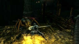 画像ギャラリー No.004のサムネイル画像 / 「Demon's Souls」のニコ生番組，本日放送の第八夜は「塔のラトリア-2」に挑む