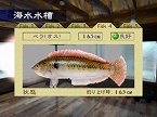 画像ギャラリー No.021のサムネイル画像 / PlayStation Store最新情報。「Flowery」「のびのびBOY」が配信開始&ゲームアーカイブスに伝説の“魔乳”キャラが登場