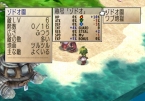 画像ギャラリー No.042のサムネイル画像 / 「ファントム・ブレイブ Wii」，新シナリオ「もうひとりのマローネ編」および新キャラクターが公開