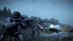 画像ギャラリー No.002のサムネイル画像 / 「OPERATION FLASHPOINT: DRAGON RISING」予約特典のシークレットミッション内容を発表