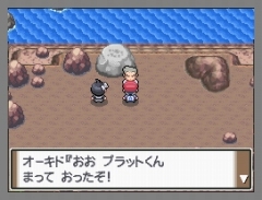 画像ギャラリー No.025のサムネイル画像 / 「ポケモン不思議のダンジョン 空の探検隊」は4月18日発売＆「ポケットモンスター プラチナ」でシェイミに出会える“どうぐ”を期間限定配信