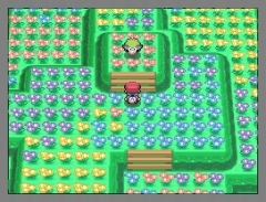 画像ギャラリー No.026のサムネイル画像 / 「ポケモン不思議のダンジョン 空の探検隊」は4月18日発売＆「ポケットモンスター プラチナ」でシェイミに出会える“どうぐ”を期間限定配信