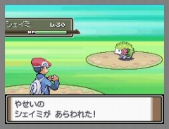 画像ギャラリー No.027のサムネイル画像 / 「ポケモン不思議のダンジョン 空の探検隊」は4月18日発売＆「ポケットモンスター プラチナ」でシェイミに出会える“どうぐ”を期間限定配信
