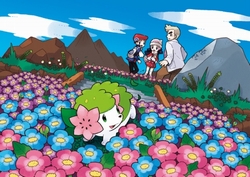 画像ギャラリー No.029のサムネイル画像 / 「ポケモン不思議のダンジョン 空の探検隊」は4月18日発売＆「ポケットモンスター プラチナ」でシェイミに出会える“どうぐ”を期間限定配信