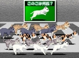 画像ギャラリー No.011のサムネイル画像 / 中川翔子さんと若本規夫さんの強力タッグが贈る「スカシカシパンマンDS」が3月5日発売