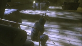画像ギャラリー No.004のサムネイル画像 / X360/PS3「Wanted:WoF」,公式サイトで特殊能力の詳細が公開に
