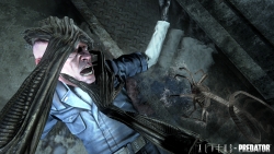 画像ギャラリー No.002のサムネイル画像 / ［Gamescom］期待のFPS「Aliens vs. Predator」の詳細がGamescomで明らかに