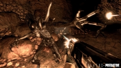 画像ギャラリー No.003のサムネイル画像 / ［Gamescom］期待のFPS「Aliens vs. Predator」の詳細がGamescomで明らかに