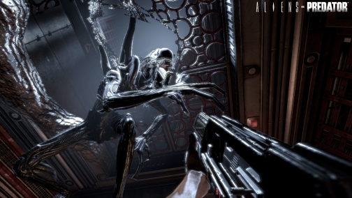 画像ギャラリー No.004のサムネイル画像 / ［Gamescom］期待のFPS「Aliens vs. Predator」の詳細がGamescomで明らかに