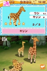 画像ギャラリー No.005のサムネイル画像 / タイトー，NDS「みんなの動物園」を4月30日に発売