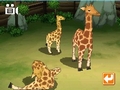 タイトー，NDS「みんなの動物園」を4月30日に発売