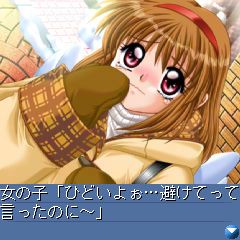 画像ギャラリー No.015のサムネイル画像 / 新作試遊も！「プロトタイプ・ファン感謝デー2010」が5月30日に開催
